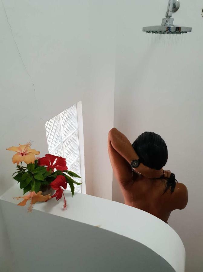 Riad Masaya جنرال لونا المظهر الخارجي الصورة