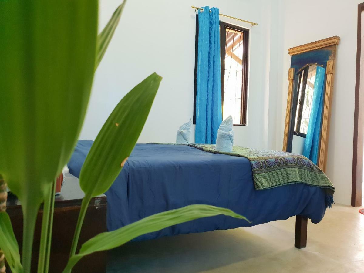 Riad Masaya جنرال لونا المظهر الخارجي الصورة