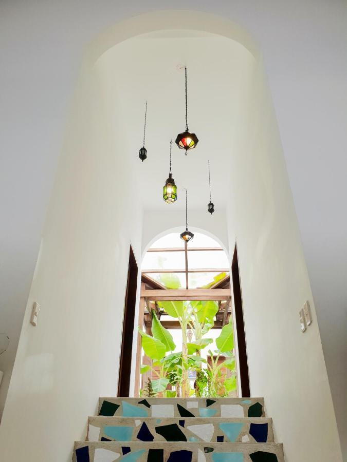 Riad Masaya جنرال لونا المظهر الخارجي الصورة